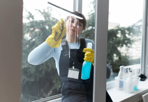 Nettoyage de vitres intérieures et extérieures à Bonnevaux